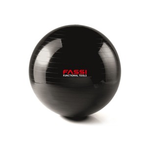 Gym Ball  65 cm Fassi